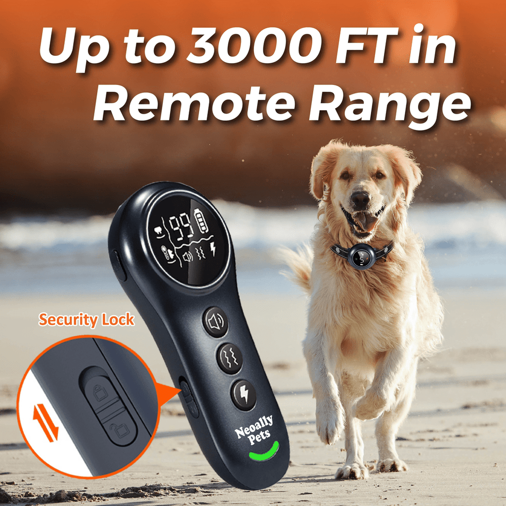 2-in-1 Training & Bark Control Collar Automatic, 5-150lbs Dogs Rechargeable, Waterproof