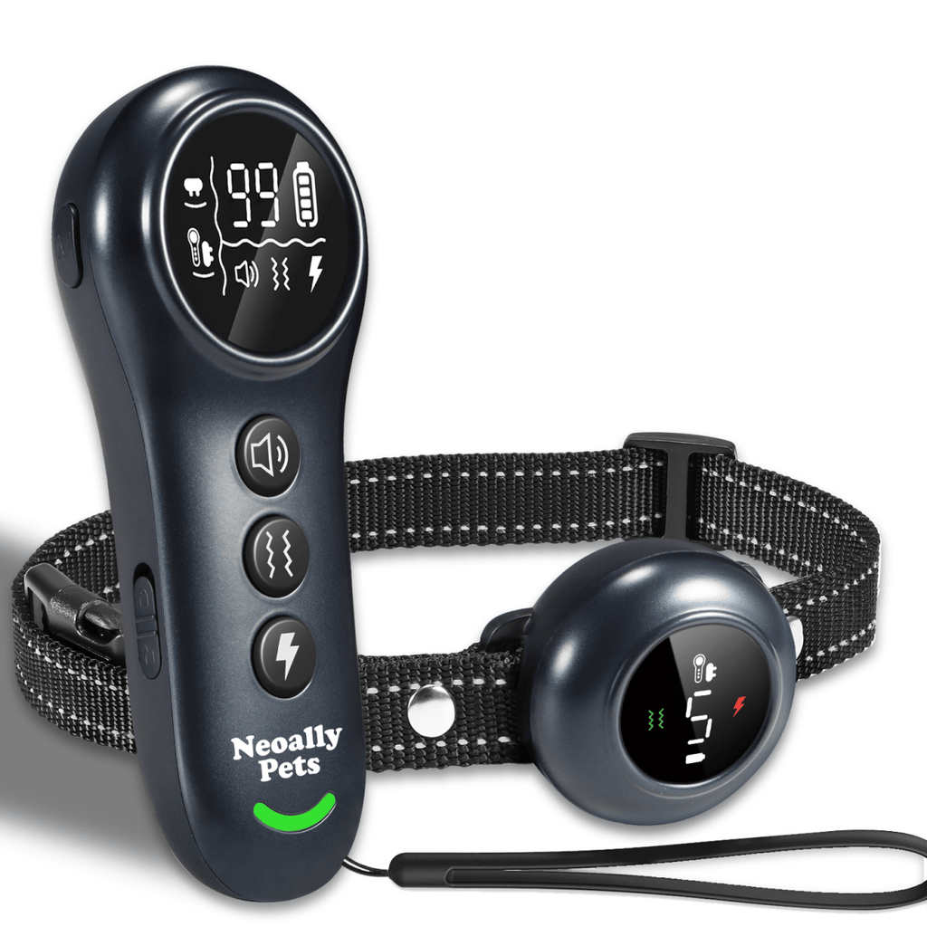 2-in-1 Training & Bark Control Collar Automatic, 5-150lbs Dogs Rechargeable, Waterproof