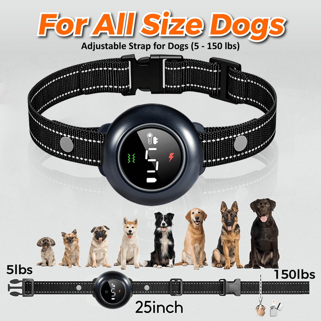 2-in-1 Training & Bark Control Collar Automatic, 5-150lbs Dogs Rechargeable, Waterproof