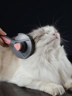 Dog And Cat Hair Comb Pet Dog Hair Special Needle Comb Cat Hair Cleaner