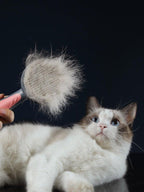 Dog And Cat Hair Comb Pet Dog Hair Special Needle Comb Cat Hair Cleaner