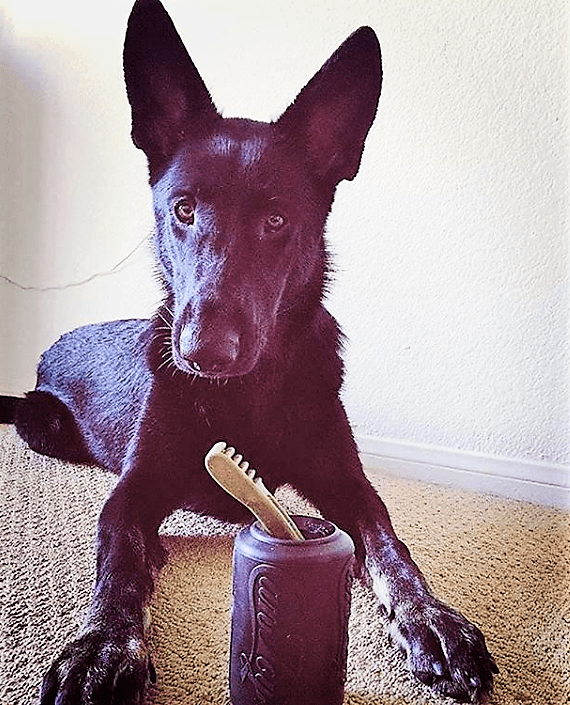 Magnum Can Toy Rubber Dog Chew Toy for Extreme  ChewersTreat Dispenser