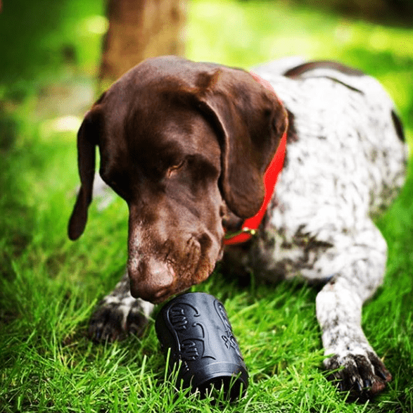 Magnum Can Toy Rubber Dog Chew Toy for Extreme  ChewersTreat Dispenser