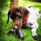 Magnum Can Toy Rubber Dog Chew Toy for Extreme  ChewersTreat Dispenser