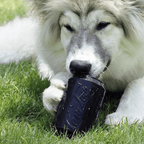 Magnum Can Toy Rubber Dog Chew Toy for Extreme  ChewersTreat Dispenser