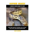 Gopher Snakes: General Info, Purchasing, Cost, Keeping, Health, Supplies, Breeding and More
