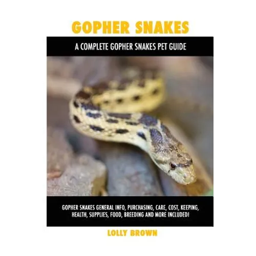Gopher Snakes: General Info, Purchasing, Cost, Keeping, Health, Supplies, Breeding and More